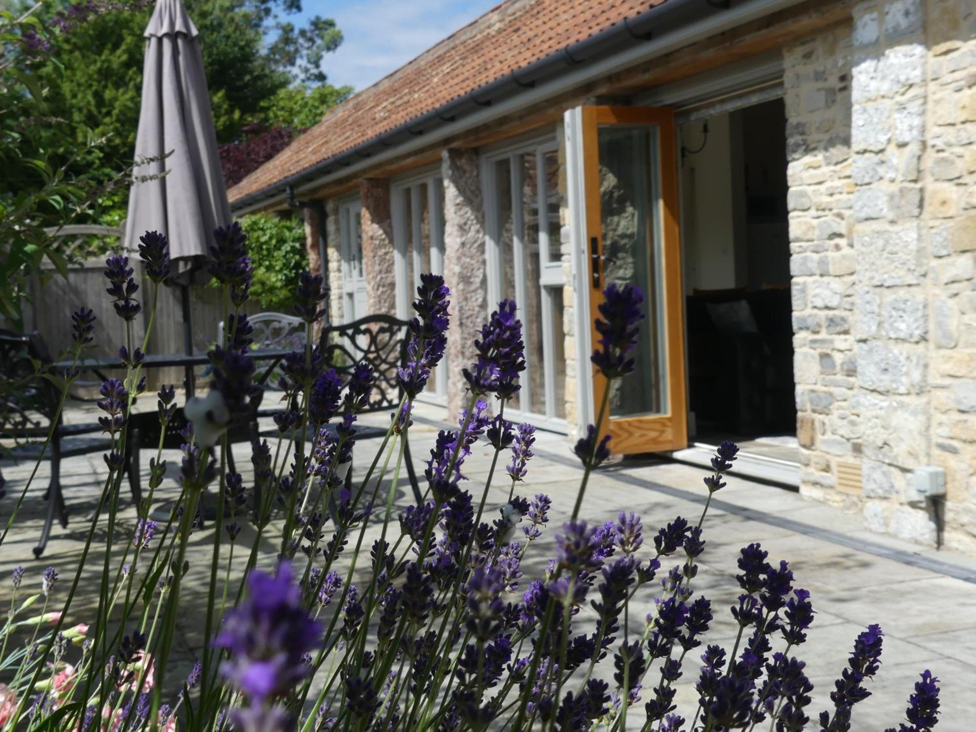 Pear Tree Cottages Wedmore Habitación foto